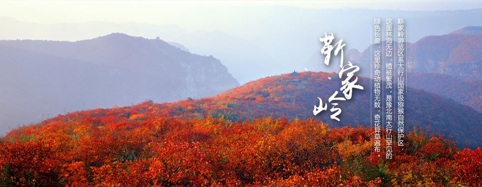 Ҷ绨 ϽҶھ޿Ļ