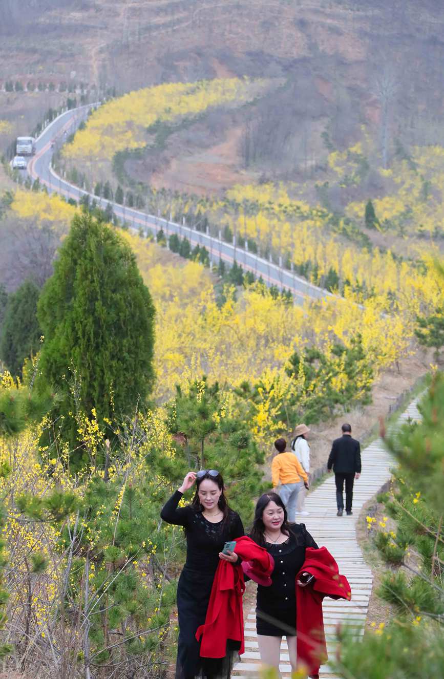 山村處處花香四溢，吸引不少市民前來賞花踏青。李東陽攝