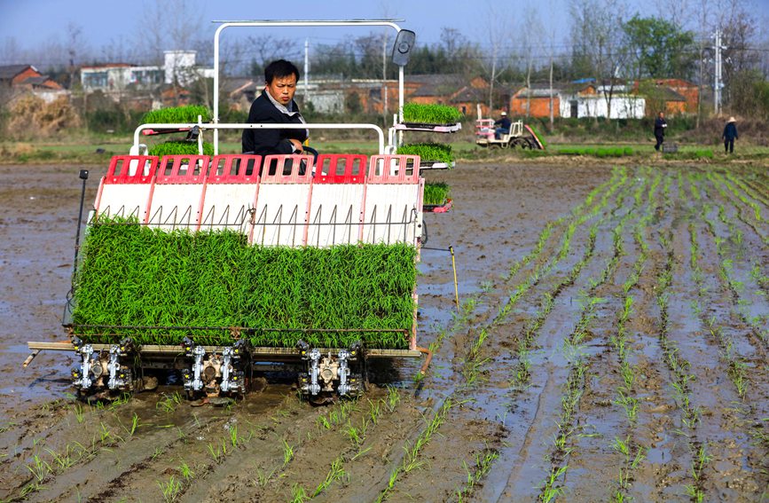 田間地頭春耕忙。謝萬柏攝