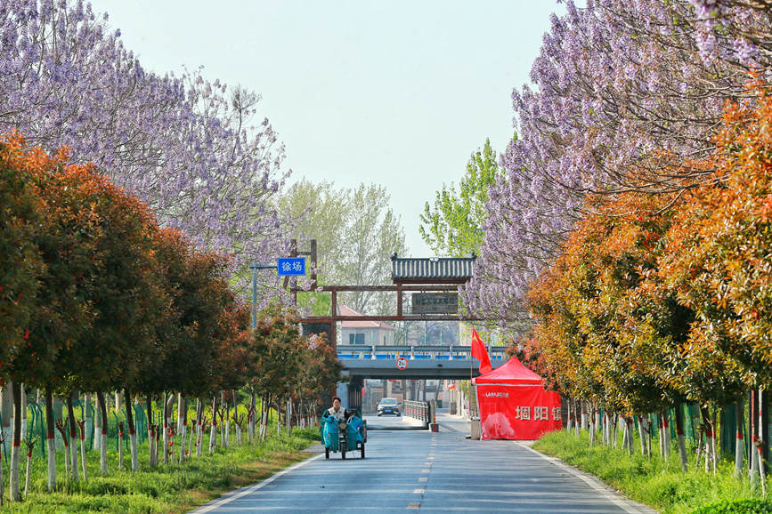 美麗鄉村幸福路。李金雷攝