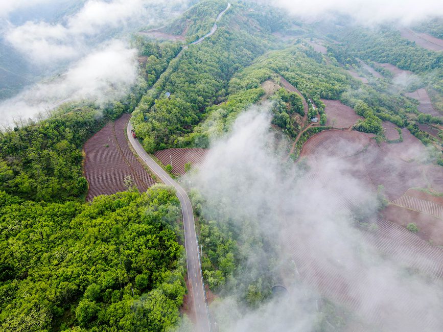 雨后山村入畫來。聶金鋒攝