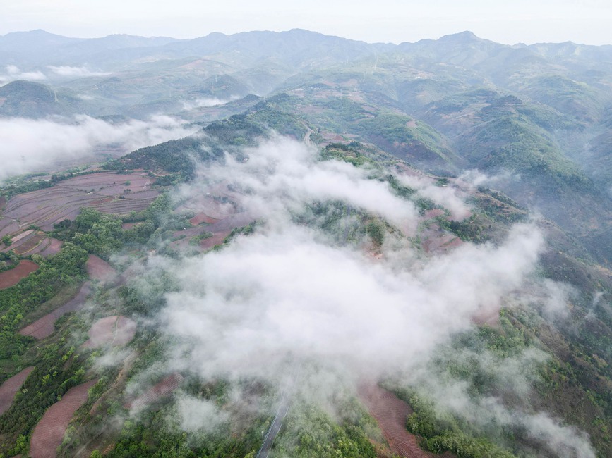 雨后山村入畫來。聶金鋒攝