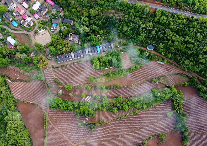 雨后山村入畫來。聶金鋒攝