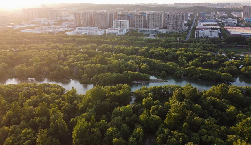 洛陽市洛河西段瀛洲橋附近的濕地公園（無人機照片）。黃政偉攝 