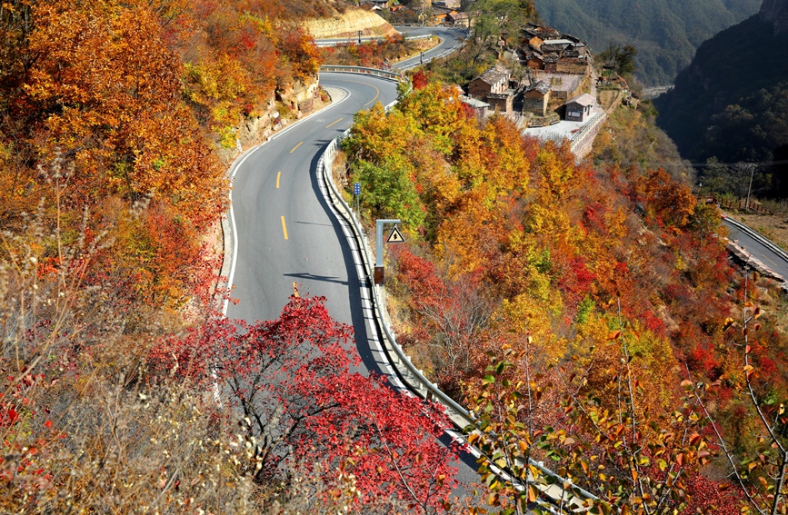 太行深秋景色美如畫卷。秦加福攝