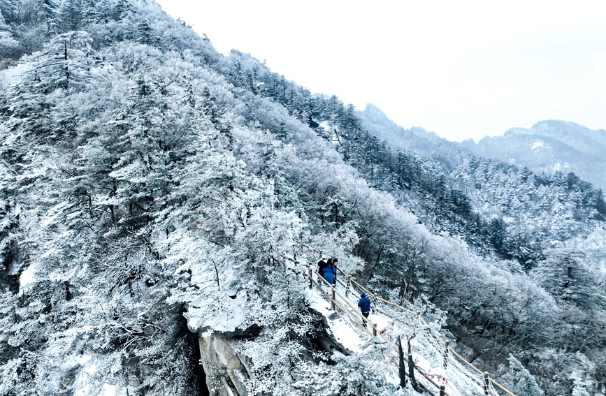 2023年第一场雪将白云山变成人间绝色。崔胜杰摄