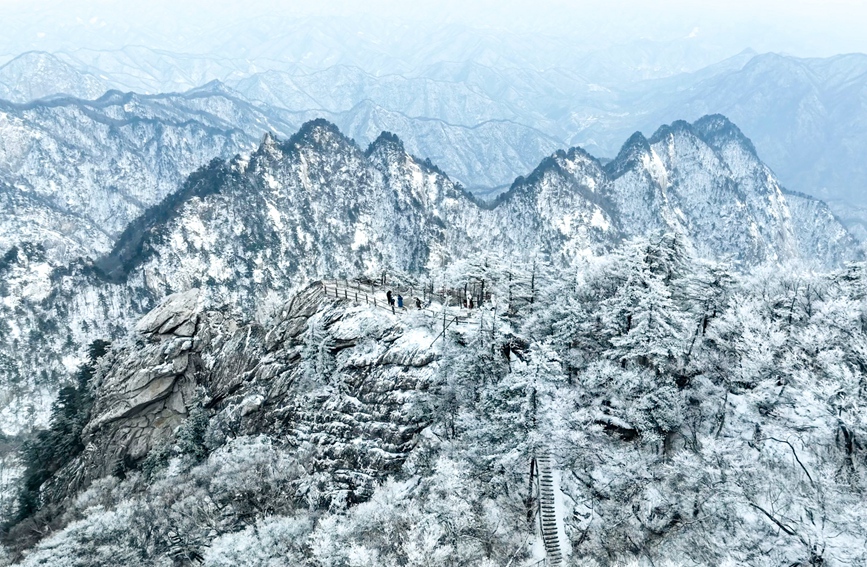 2023年第一场雪将白云山变成人间绝色。杨颖奇摄