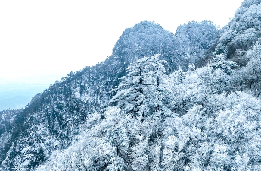 2023年第一场雪将白云山变成人间绝色。杨颖奇摄