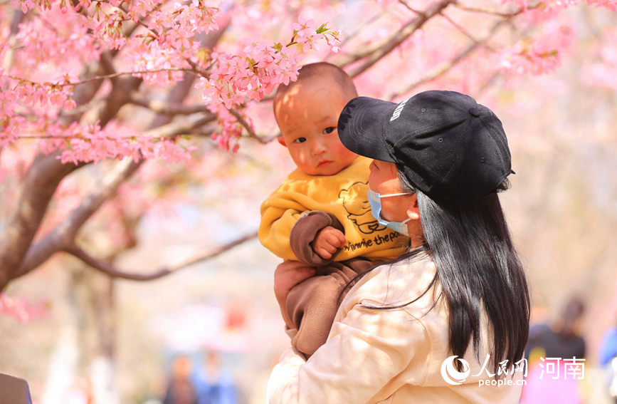 春意融融，百花吐芳。人民网程明辉摄