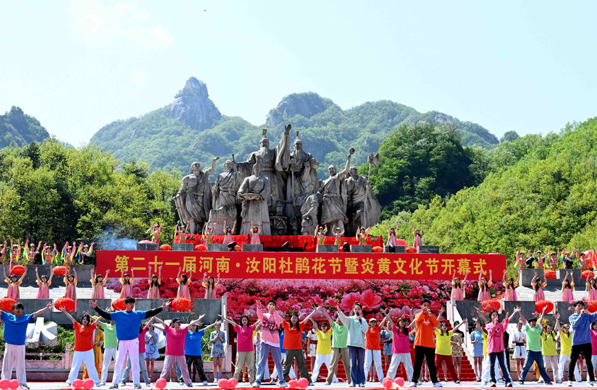 开幕式现场。汝阳县委宣传部供图