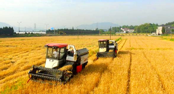 全国麦收进度达4.8% 大规模机收将展开