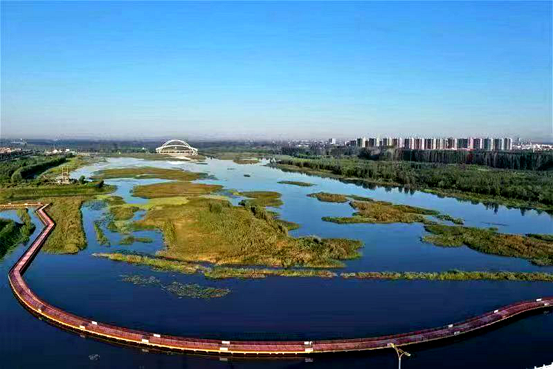 濮阳金堤河国家湿地公园剪影。濮阳县委宣传部供图