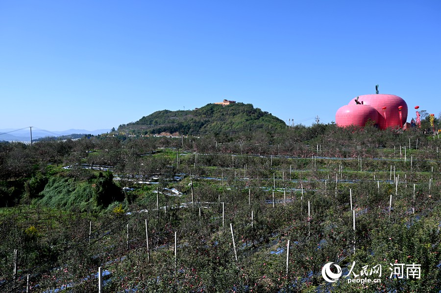 寺河山苹果小镇。人民网记者王玉兴摄