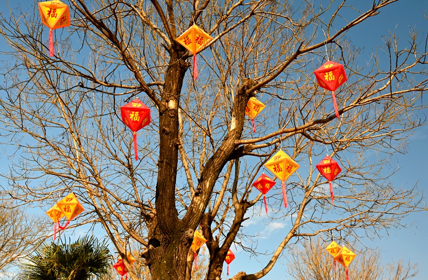 社旗縣的大街小巷滿目盡是喜慶的“中國紅”，“年味兒”十足。申鴻皓攝