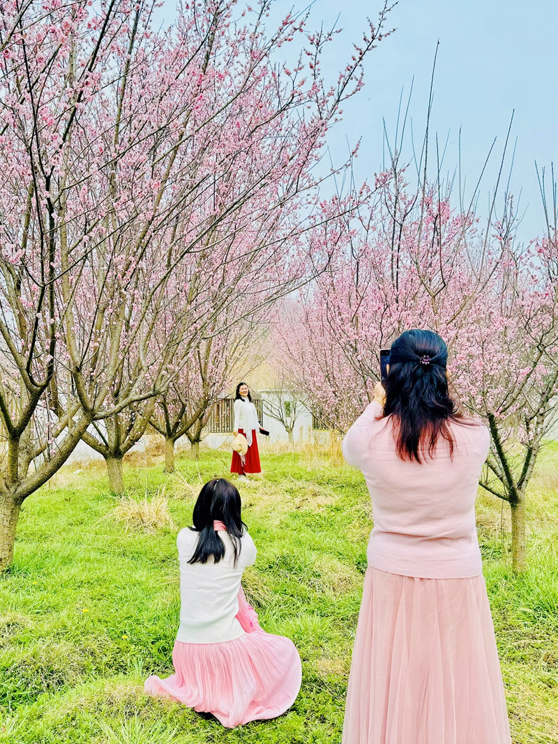 信阳市浉河区：花开三月笑迎春