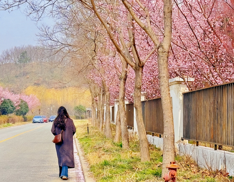 信阳市浉河区：花开三月笑迎春