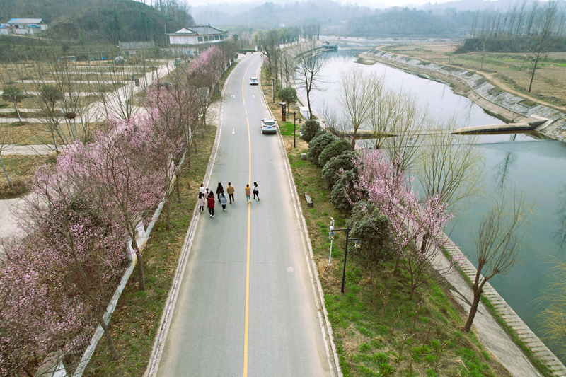 信阳市浉河区：花开三月笑迎春