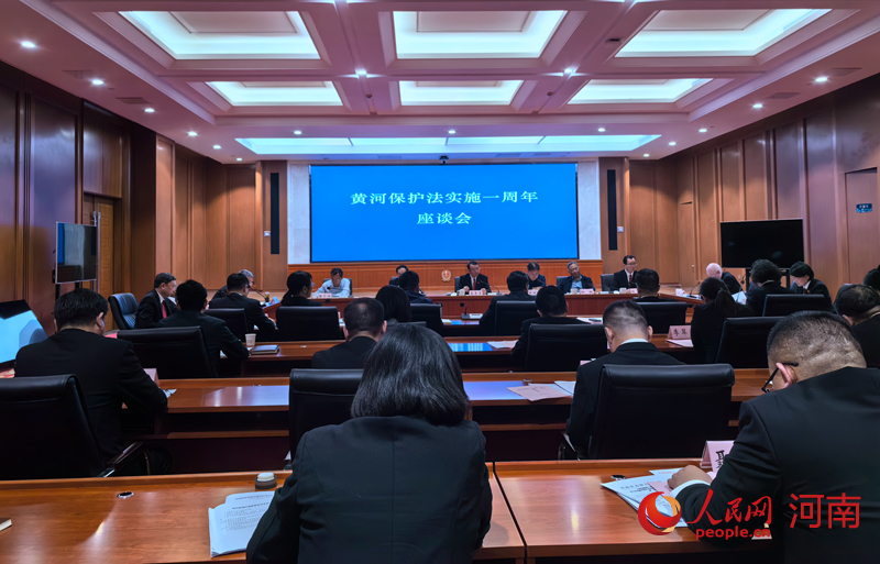 座谈会现场。人民网记者 王佩摄