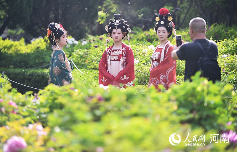 河南省洛阳市中国国花园牡丹观赏区内，游客身着汉服在参观游玩。人民网记者 尚明桢摄