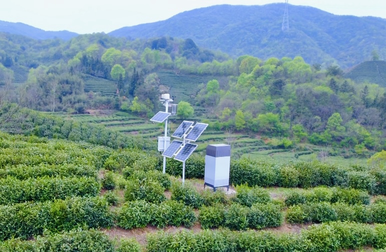5G茶园检测。