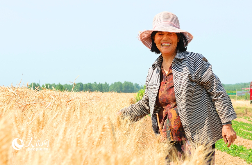 小麦丰收，农民笑开颜。人民网 辛静摄