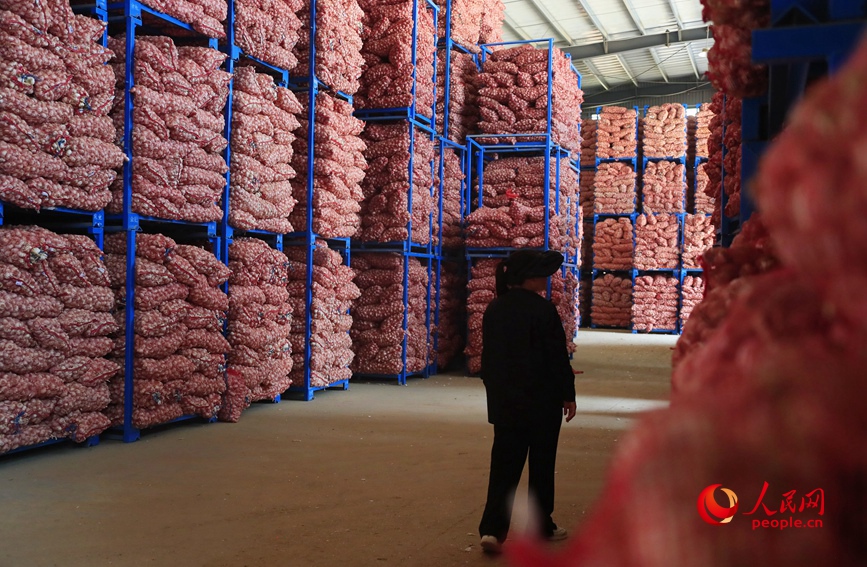 河南杞县大蒜交易市场堆放的大蒜。人民网 霍亚平摄