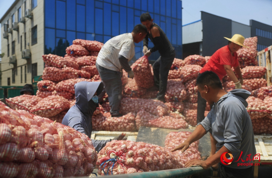 河南杞县大蒜交易市场里，工作人员在紧张地忙碌着。人民网 霍亚平摄