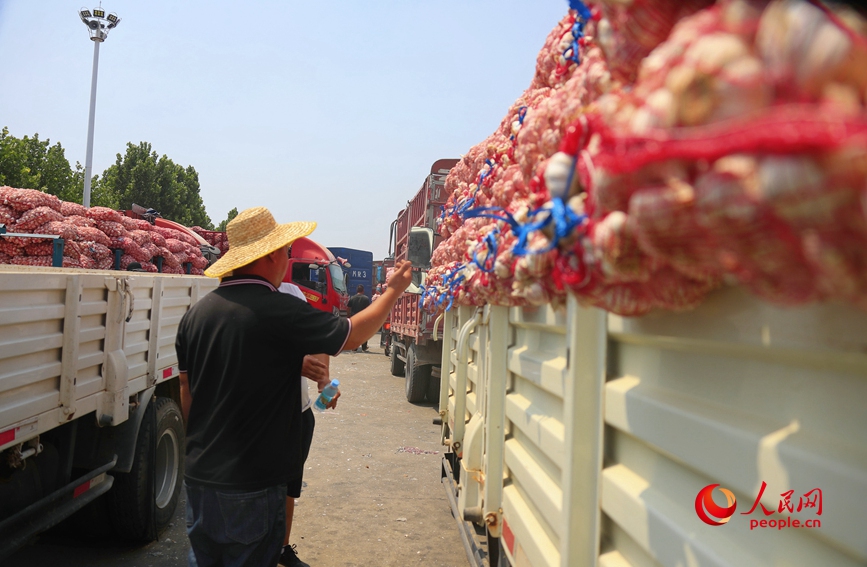 河南杞县大蒜交易市场里，工作人员在紧张地忙碌着。人民网 霍亚平摄