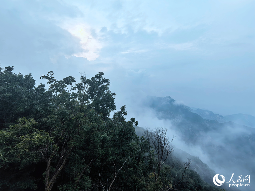 小秦岭国家级自然保护区汉山景区内云雾缭绕。人民网 于思远摄 