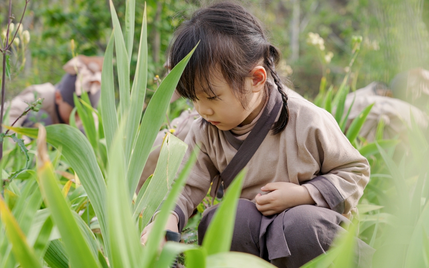 汝州：“趣”学中医药 探秘九峰山 