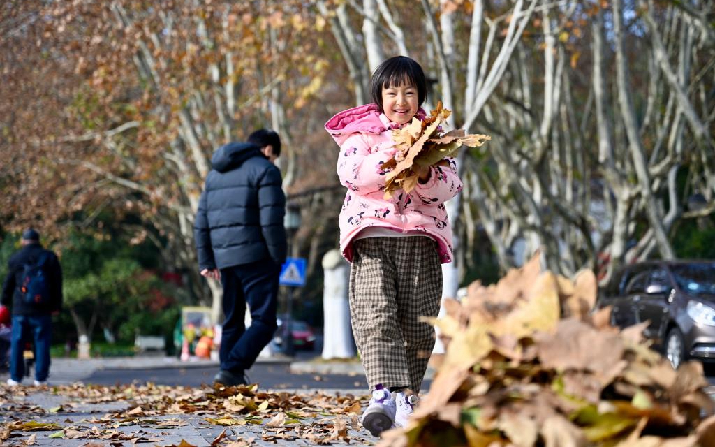 杭州的浪漫：落叶不扫，归于诗意