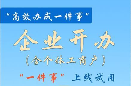 14個“高效辦成一件事”事項在鶴壁市上線試運行