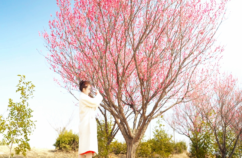 信阳市浉河区：春耕花海忙 不负好时光