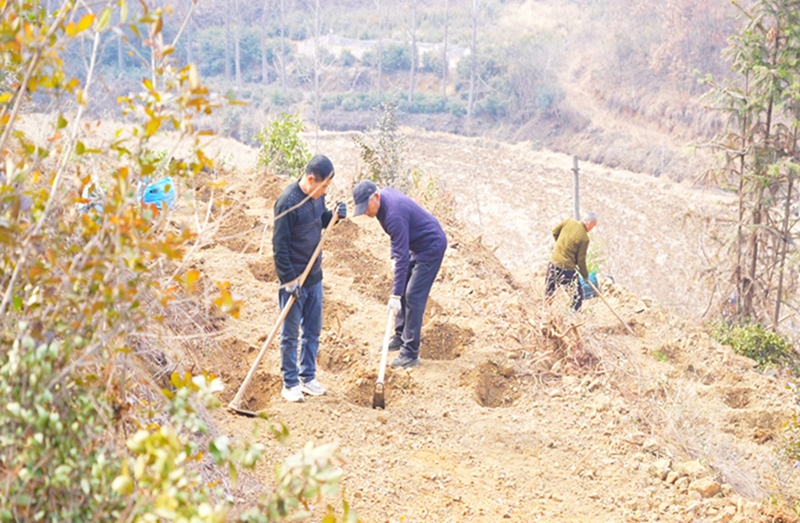 信阳市浉河区：春耕花海忙 不负好时光