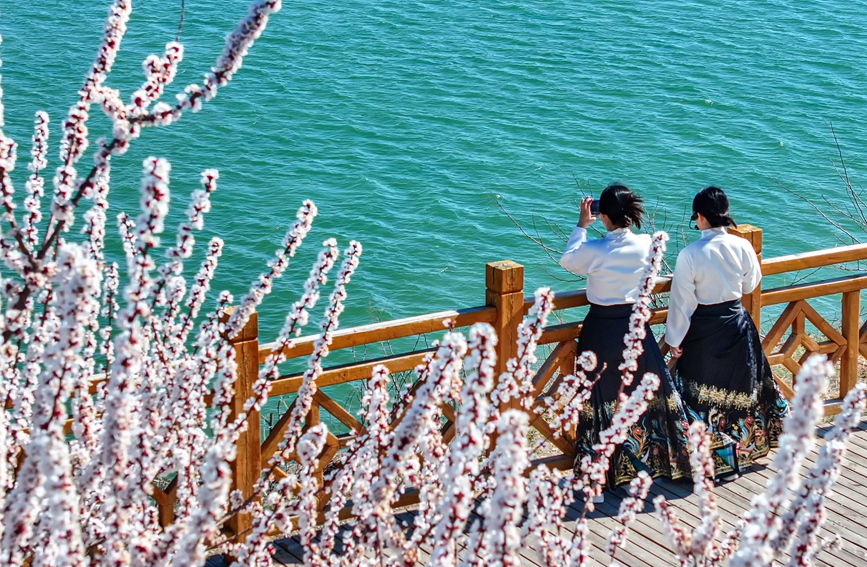 花開正艷，處處皆景。人民網 宋芳鑫攝