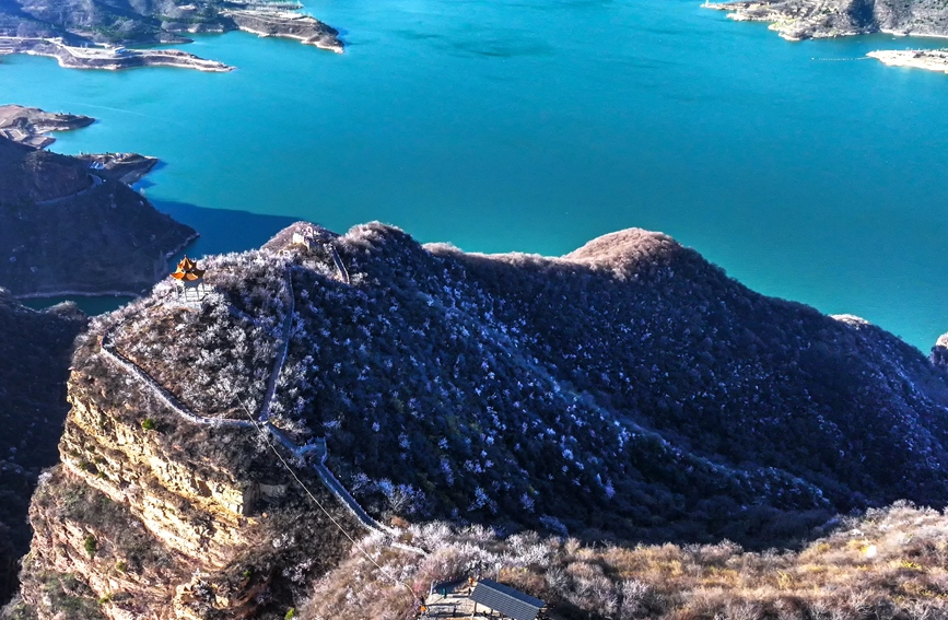 山花爛漫，風景如畫。段萬卿攝
