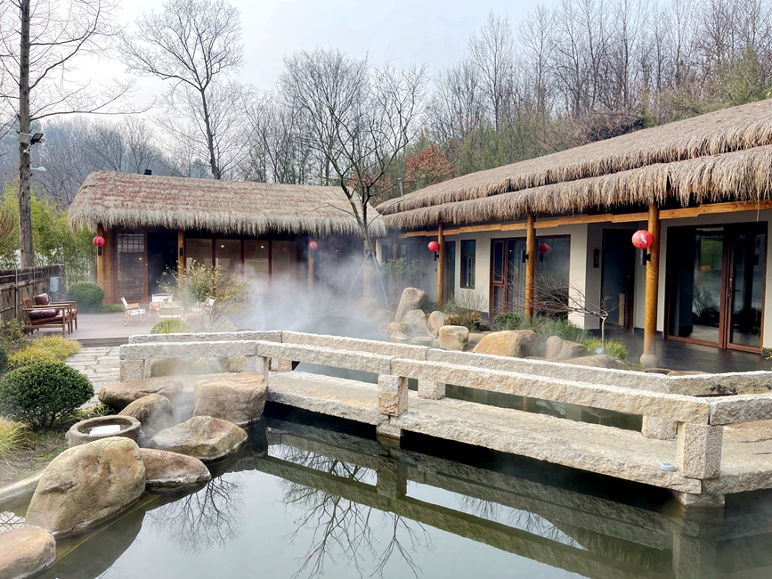 旭苒小院。信阳市浉河区委宣传部供图