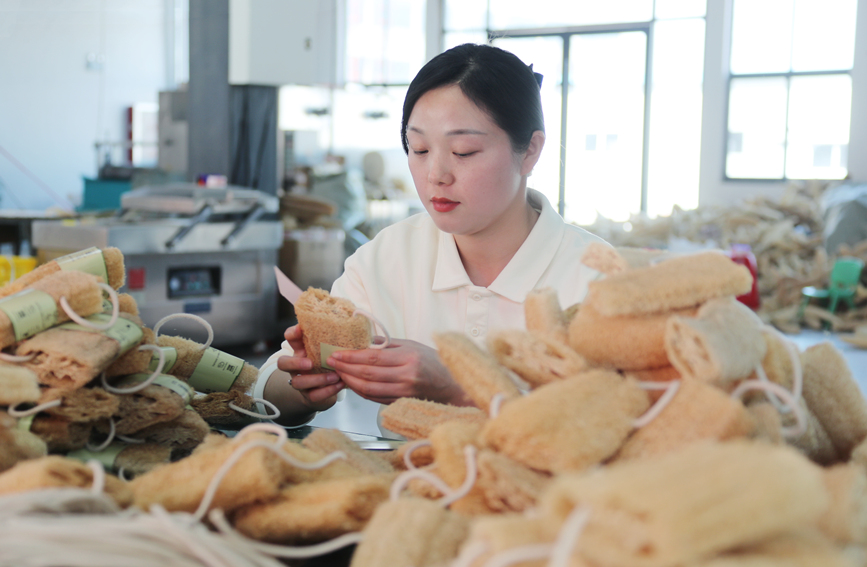村民在制作絲瓜絡產品。人民網 霍亞平攝
