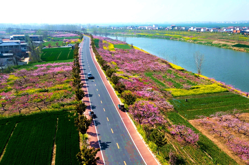 周口市西华县Y024公路。河南省交通运输厅供图（资料图片）