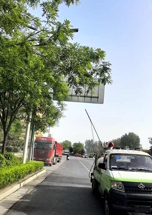 工作人员在为树木喷洒治理虫害的药物。平舆县督查服务中心供图