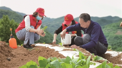 党旗飘红 民生添彩