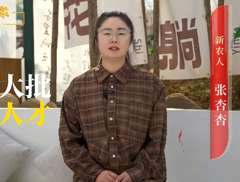 张杏杏的创业路，离不开栾川县“青汇·才聚”行动的政策护航。2023年，栾川县出台《人才支撑乡村振兴栾川行动方案》，从资金扶持、技能培训、平台搭建等多维度破除返乡创业壁垒。