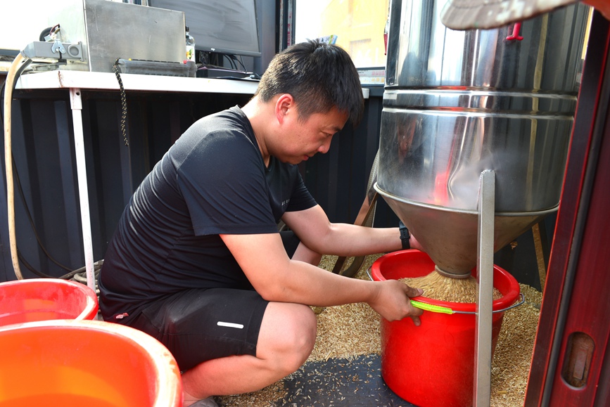 提取样品小麦进行检验。宋乐义摄