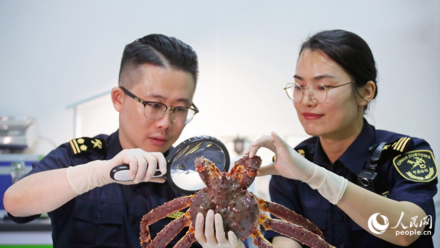 海关工作人员对货物进行查验。人民网 霍亚平摄