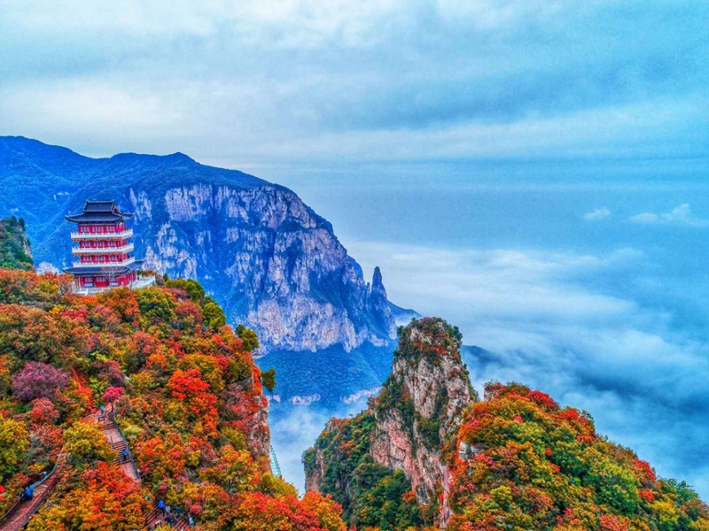 觀雲海，賞紅葉，邂逅王維詩裡的雲台山。段超攝