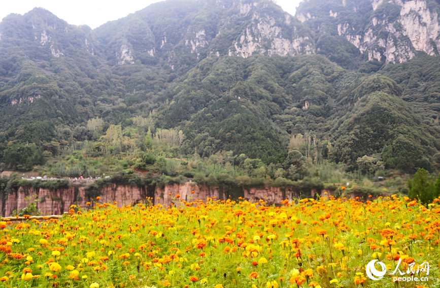 太行美景。人民网记者 宋芳鑫摄