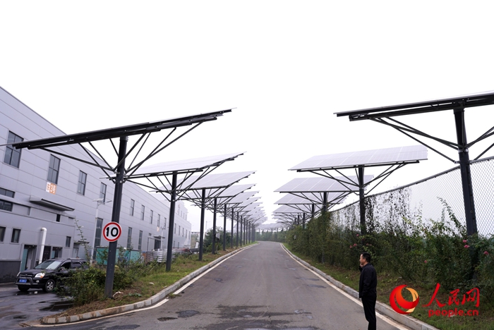 洛阳一家企业利用厂区闲置空间，大面积建设了分布式光伏。人民网记者 王佩摄