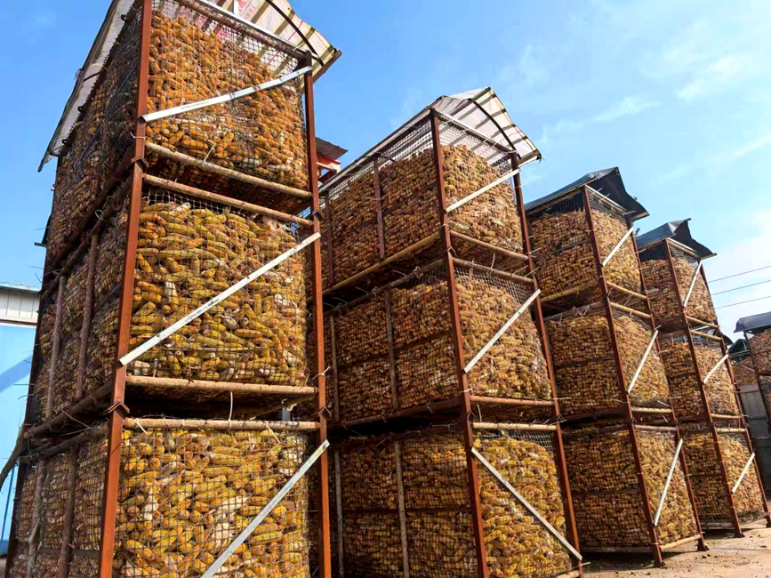 封丘县冯村乡种粮大户侯兰锋绿源家庭农场内的储粮铁笼整齐排列着。罗菲摄