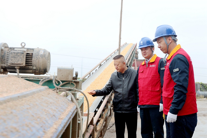 鹤壁浚县供电公司焦裕禄共产党员服务队队员到新镇开增种植农机合作社开展用电检查，了解客户用电需求，保障烘干设备在秋收期间用电无忧。（王世文