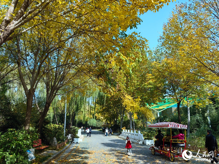 市民在赏秋。人民网记者 宋芳鑫摄